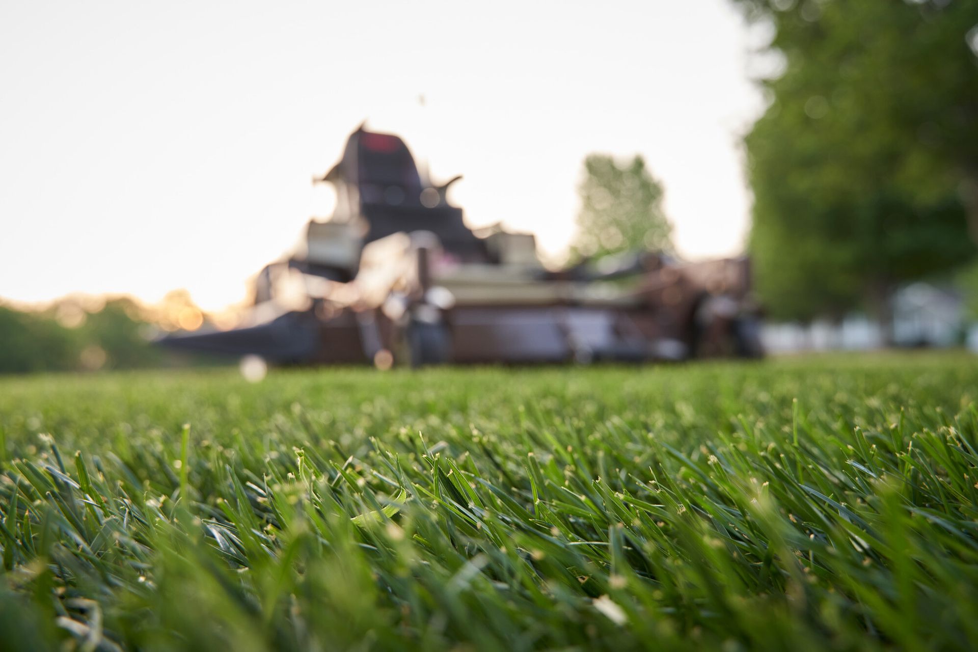 Ground-level view across freshly cut green turf toward a blurred mower at sunset.
