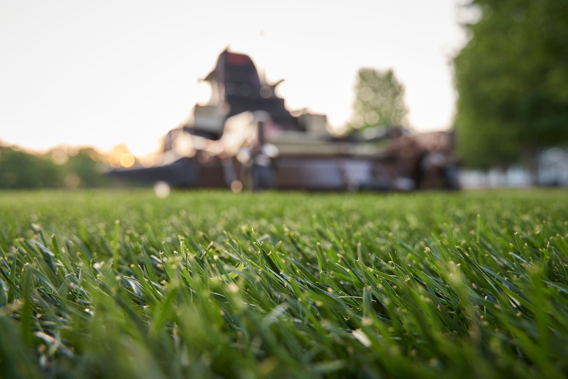 Grass Background Image for website header