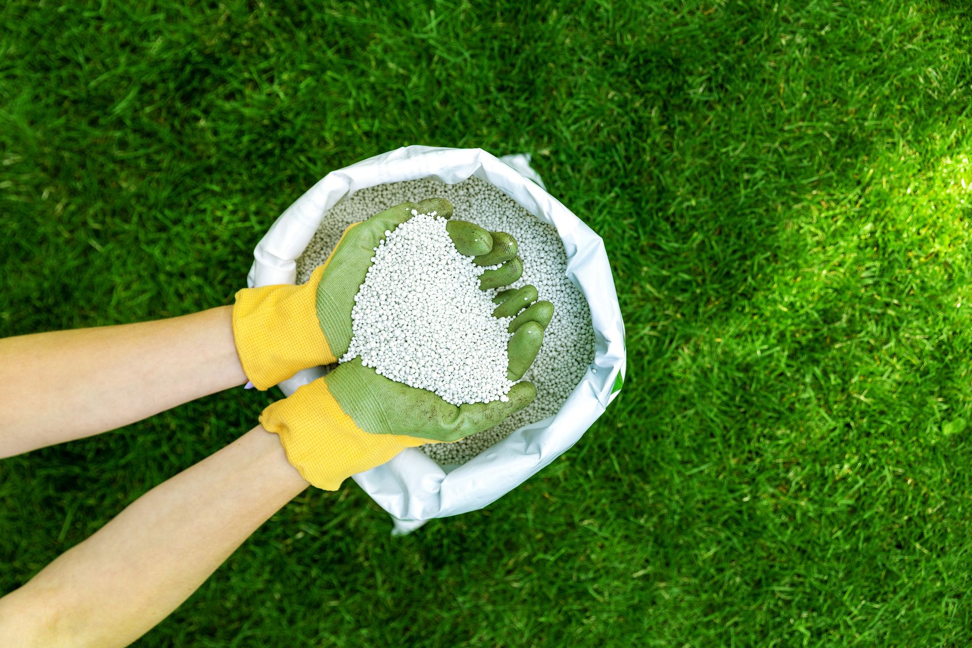 Gloved hands scooping white fertilizer granules from an open bag over green lawn.