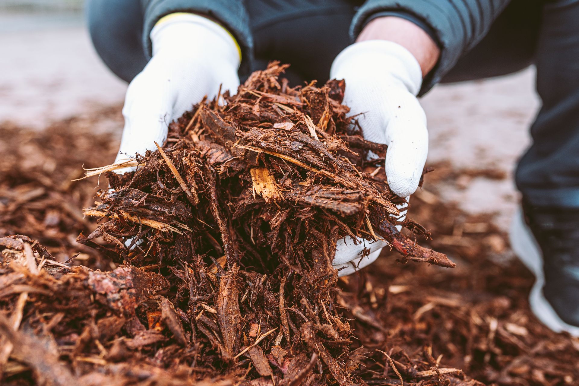 Close-up of white-gloved hands lifting a handful of shredded brown bark mulch from a pile.